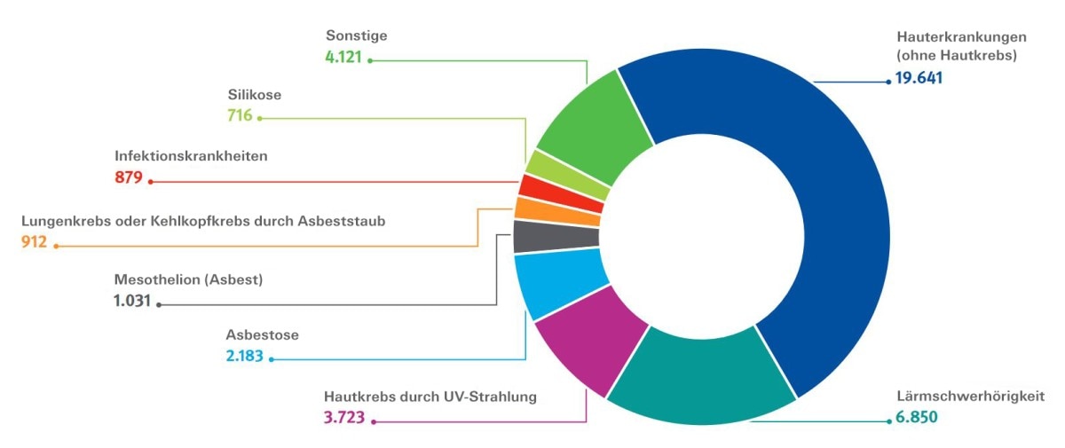 Hautbelastung Kreisdiagramm